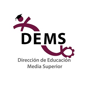 Logo con enlace a DEMS